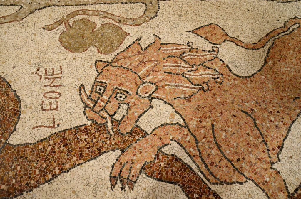 Dettaglio mosaico pavimento Cattedrale Otranto