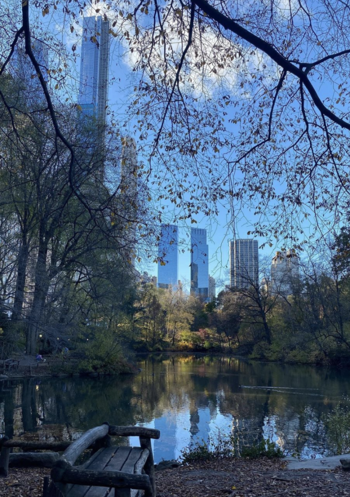 Central Park - New York City -Laghetto
