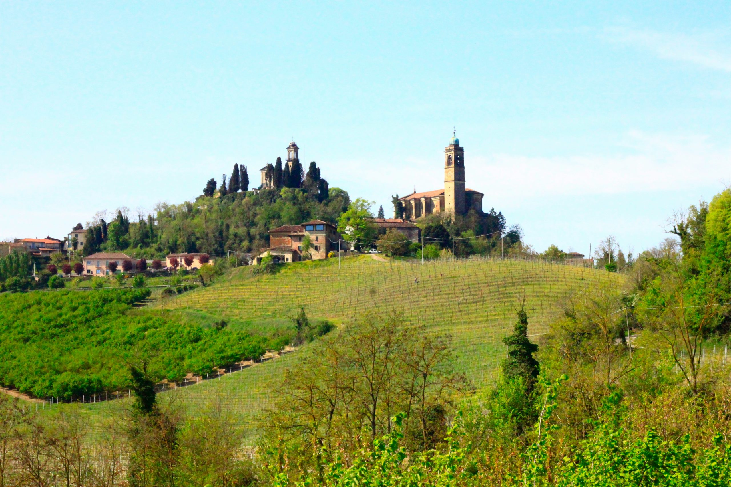 vignale monferrato colline verdi